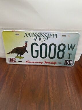 Mississippi License Plate